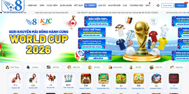 Giới thiệu O8 và nguồn gốc pháp lý