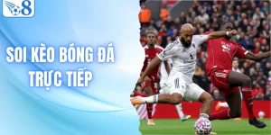Soi Kèo Bóng Đá Trực Tiếp - Hướng Dẫn Đọc Vị Trận Đấu