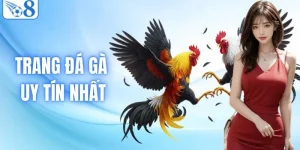 Top 3 Trang Đá Gà Uy Tín Nhất Do Người Dùng Đánh Giá
